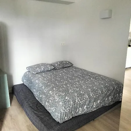 Apartamento Con Cocina Americana, Bano Y Entrada Independiente Lbi00469 * Sopelana